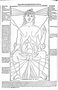Weibliche Fortpflanzungsorgane - in Abhandlung der Medizin von Gerolamo Cardano (Cardano) (Cardanus Hieronymus), Florenz 1585. von Unknown artist
