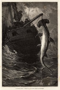 Fischen eines Hammerhais, 7 Meter lang, in den Gewässern nahe der Insel Anastasia. Gravur zur Illustration der Geschichte vier Monate in Florida, von Achille Pousselgue, 1851-1852, veröffentlicht in „Le tour du monde“ 1870-1871, herausgegeben von Edouard C