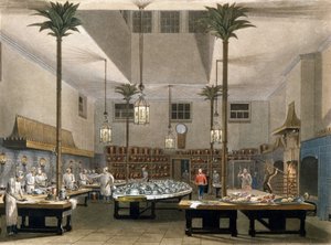 Grand Hotel: die Küchen des Great Pavillon Hotel in Brighton. 1850 von Unknown artist
