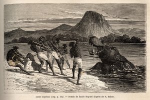 Nilpferdjagd mit dem Houarti-Stamm, mit Harpunen und Speeren, das wütende Tier lädt und widersteht. Gravur zur Illustration der Erforschung der abessinischen Nebenflüsse des Nils, von Sir Samuel W. Baker, 1861-62, veröffentlicht in „Le tour du monde“ von Unknown artist