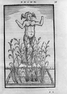 Homme sans bras - in „De Transmutatione Metallica Sogni Tre“ von Giovanni Battista Nazari, herausgegeben in Brescia 1599