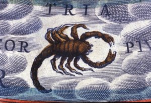 Horoskop: Sternzeichen Skorpion