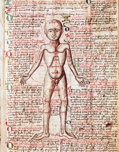 Menschlicher Körper. Gravur aus „Tractatus de pestilentia“ 15. Jahrhundert - Prag, Nationalbibliothek
