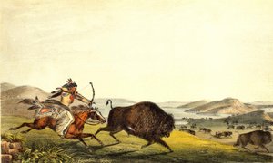 Bisonjagd in Nordamerika. 19. Jahrhundert.