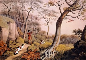 Fasanenjagd in England. 19. Jahrhundert Gravur. Gien, Jagdmuseum von Unknown artist