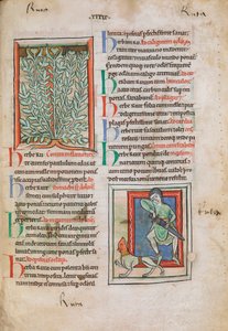 Illuminierte Miniaturen der Pflanze Raute (Ruta), die für verschiedene Beschwerden verwendet werden kann, einschließlich Augenschmerzen, Vergesslichkeit und Lethargie; und unten ein Mann, der ein Schwert zieht, um sich gegen einen rotgesichtigen tollwütige von Unknown artist