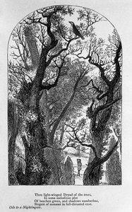 Illustration für „Ode an eine Nachtigall“ von dem Dichter John Keats (1795-1821) 19. Jahrhundert