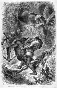 Illustration aus der Ausgabe von 1862 von „Le Tour du monde“, die einen Kampf zwischen einem Dayak und einem Orang-Utan auf der Insel Borneo darstellt. Gravur