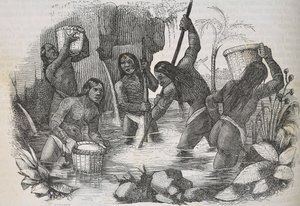 Indianer von der Insel Hispaniola beim Goldwaschen von Unknown artist
