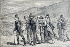 Irland: Saisonarbeiter für die Ernte