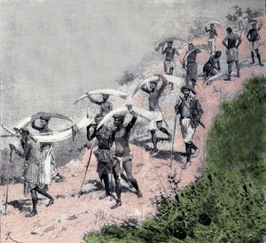 Elfenbeinhandel: Karawane von kongolesischen Trägern tragen Elefantenstoßzähne. Gravur aus dem 19. Jahrhundert