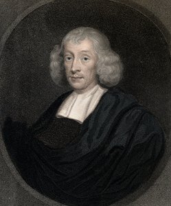 John Ray (Wray) 1627-1705 - Gravur - 19. Jahrhundert