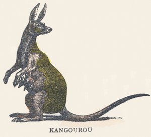 K: Känguru von Unknown artist