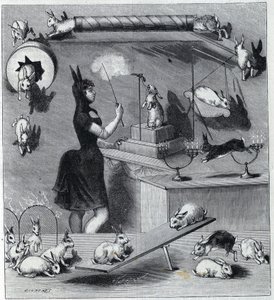 Die verkleideten Kaninchen des Neuen Zirkus in Paris: Dompteur im Kaninchenkostüm lehrt dem Tier die verschiedenen Nummern. In „La Nature“ 1890