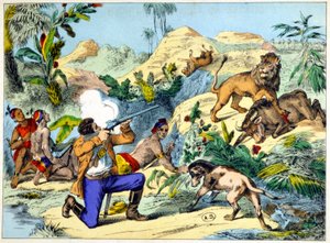 Löwenjagd im südlichen Afrika. Gravur aus dem 19. Jahrhundert