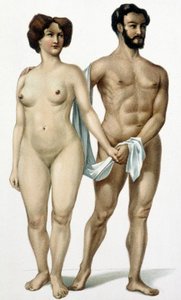 Mann und Frau - Medizinbuch, Ende des 19. Jahrhunderts