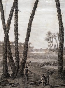 Memphis, Ansicht der Ruinen - in „Beschreibung von Ägypten“, Kaiserliche Ausgaben von Unknown artist