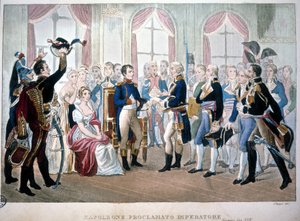 Napoleon wurde 1804 zum Kaiser ausgerufen von Unknown artist