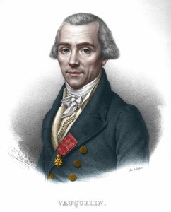 Nicolas Louis Vauquelin, französischer Chemiker (1763 - 1829). von Unknown artist