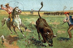 Alte Tradition in der Region Provence: Die Ferrade in der Camargue. Chromolithographie aus dem späten 19. Jahrhundert.