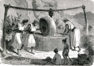 Olivenmühle in Algerien 1885