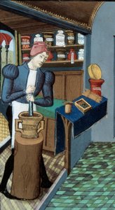 Pharmazie: „Ein Apotheker, das Sammeln von Pflanzen und die Zubereitung von Medikamenten“. Detail der Miniatur aus „L