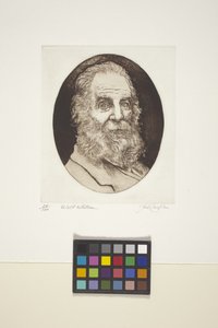 Porträt von Walt Whitman von Unknown artist