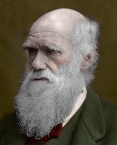 Porträt von Charles Darwin