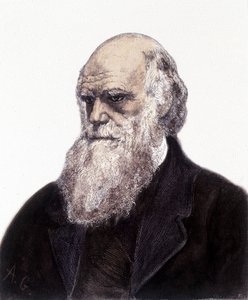 Porträt von Charles Robert Darwin, britischer Naturforscher (1809-1882)