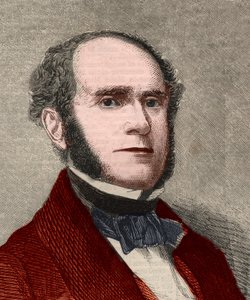 Porträt von Fitz-Greene Halleck (1790-1867), amerikanischer Dichter. Gravur in „The Illustrated London News“ vom 23. Januar 1858.