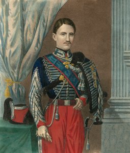Porträt von Franz II., König der beiden Sizilien (Francesco II. delle Due Sicilie) (1836-1894) mit dem Halsband des Ordens vom Goldenen Vlies - Porträt von Franz II. der beiden Sizilien (1836-1894), König des Königreichs der beiden Sizilien. von Unknown artist
