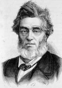 Porträt von Jules Favre (1809 -1880), französischer Politiker