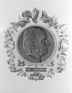 Porträt von Lamarck (1744 - 1829)