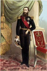 Porträt von Leopold II., König der Belgier
