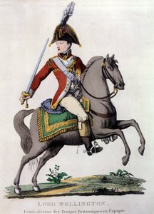 Porträt von Lord Wellington (1769-1852), General der britischen Truppen in Spanien von Unknown artist