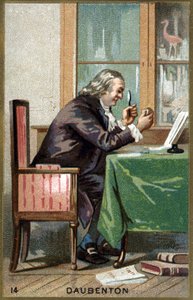 Porträt von Louis Jean Marie Daubenton von Unknown artist