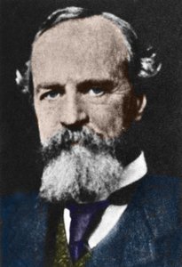 Porträt von William James (1842-1910), amerikanischer pragmatischer Philosoph. von Unknown artist