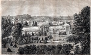 Öffentlicher Garten von Bordeaux - Jardin public - Bordeaux - Gravur um 1867