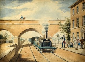 Rothirsch, ca. 1850