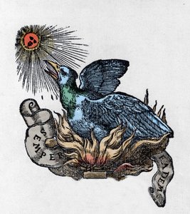 Darstellung eines Phönix, legendärer Vogel, der aus seiner Asche wiedergeboren wird. Gravur des 19. Jahrhunderts