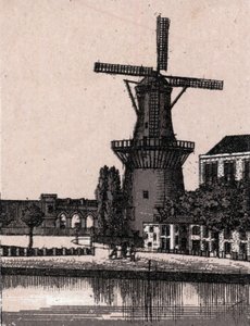 Rotterdam, Holland: Niederländische Windmühle in „Die Welt illustriert 168 Ansichten“ ohne Datum (spätes 19. Jahrhundert) von Unknown artist