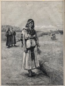 Ruth arbeitet auf dem Feld von Boaz (Booz) (Ruth und Boaz) - Gravur nach dem Gemälde von Druch-hajos
