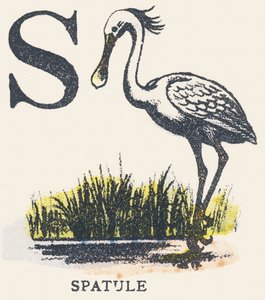 S: Spatel von Unknown artist