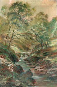 Bach durch einen Wald