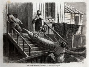 Störfischerei an der Mündung des Flusses Wolga. Gravur zur Illustration der Reise auf der Wolga von M. Moynet, im Jahr 1864, in „Le tour du monde, nouveau journal des voyages“, veröffentlicht unter der Leitung von Edouard Charton