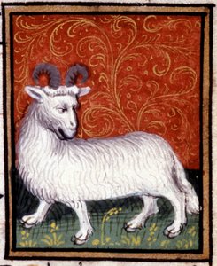Der Widder. Miniatur eines Horoskops. Manuskript aus dem 15. Jahrhundert. Bibl. Trivulziana, Mailand