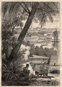 Die Expedition in die südlichen Länder (1800-1803) von Nicolas Baudin (1754-1803): Ansicht von Sydney (Australien) - Illustration aus „Die großen Seefahrer des 18. Jahrhunderts“