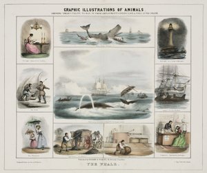 Der Wal, um 1845