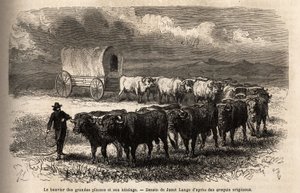 Das große Prärie-Rind und sein Gespann. Gravur zur Illustration der Reise in den amerikanischen Wilden Westen, von M. L. Simonin, 1867, veröffentlicht in „Le tour du monde, nouveau journal des voyages“, herausgegeben von Edouard Charton