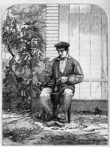 Die Abfüllung von Champagnerwein. Gravur von 1864 von Unknown artist